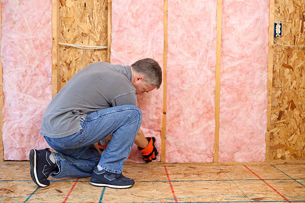 Best DIY Insulation Kits and Guidance in Green Hill, TN