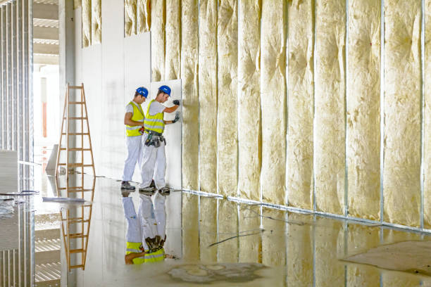 Best Spray Foam Insulation in Green Hill, TN
